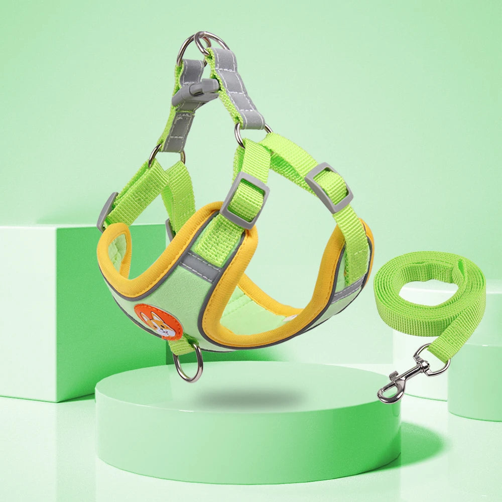 FlexiPaws No-Pull Harness & Leash Set