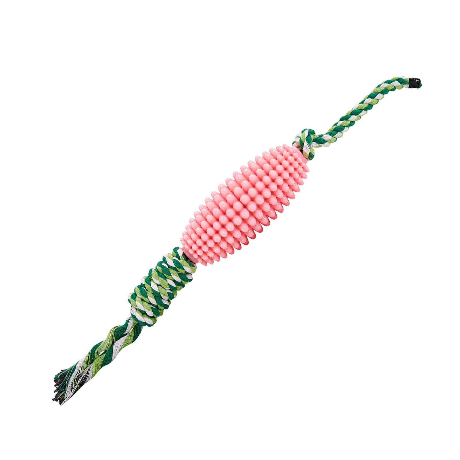 ChewGuard Dental Toy