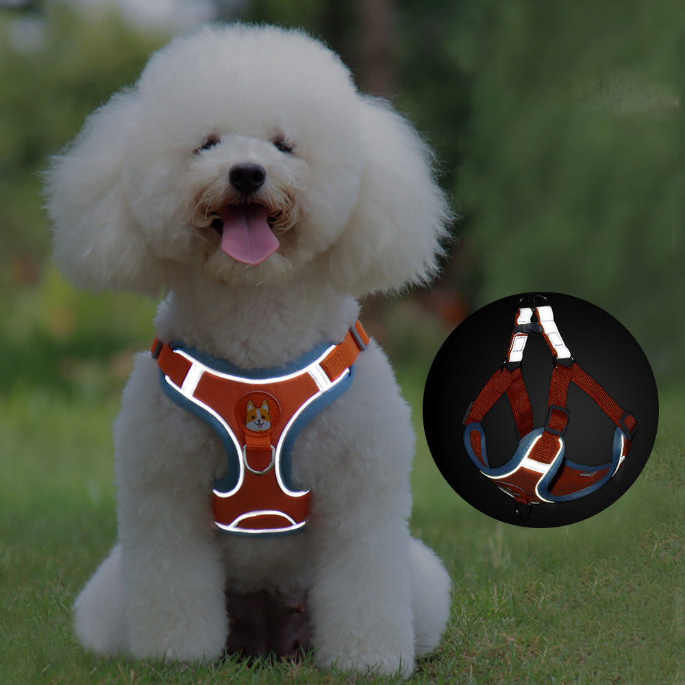 FlexiPaws No-Pull Harness & Leash Set