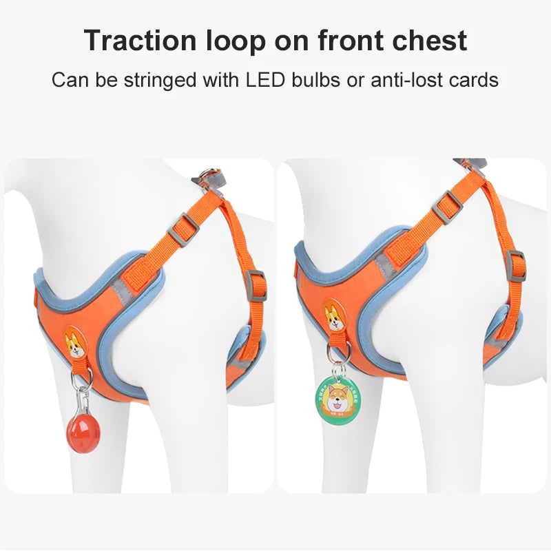 FlexiPaws No-Pull Harness & Leash Set
