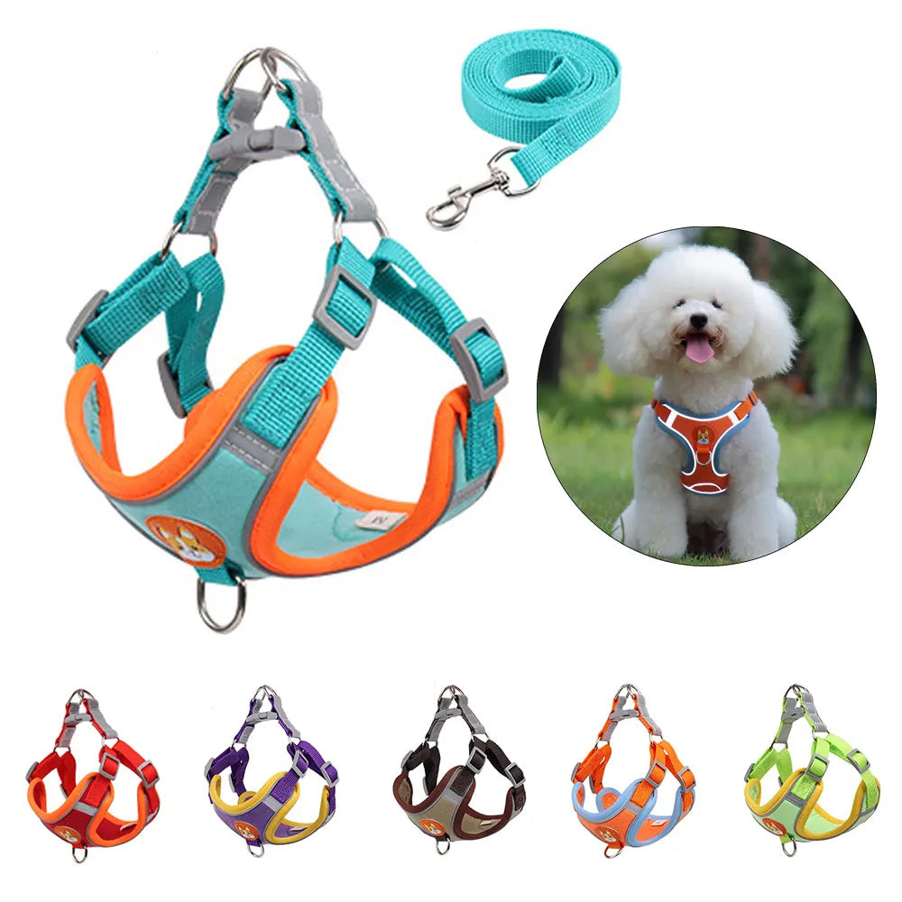 FlexiPaws No-Pull Harness & Leash Set