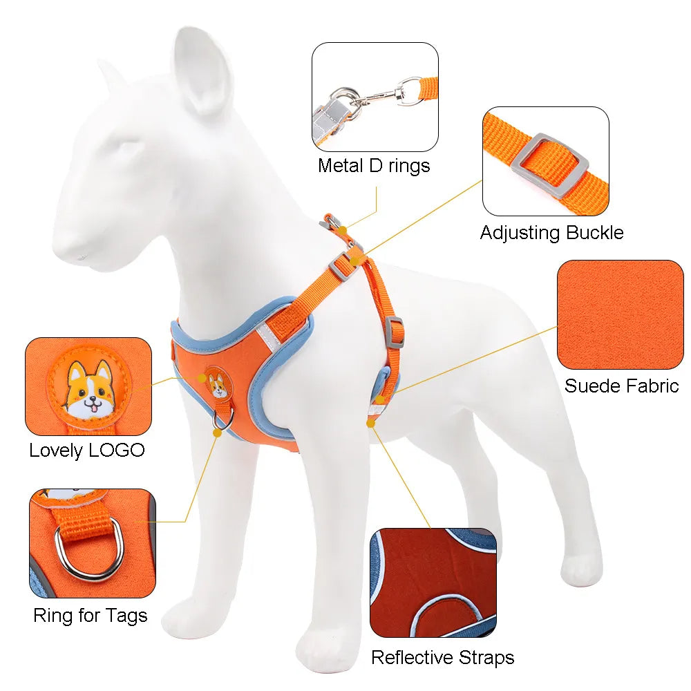 FlexiPaws No-Pull Harness & Leash Set