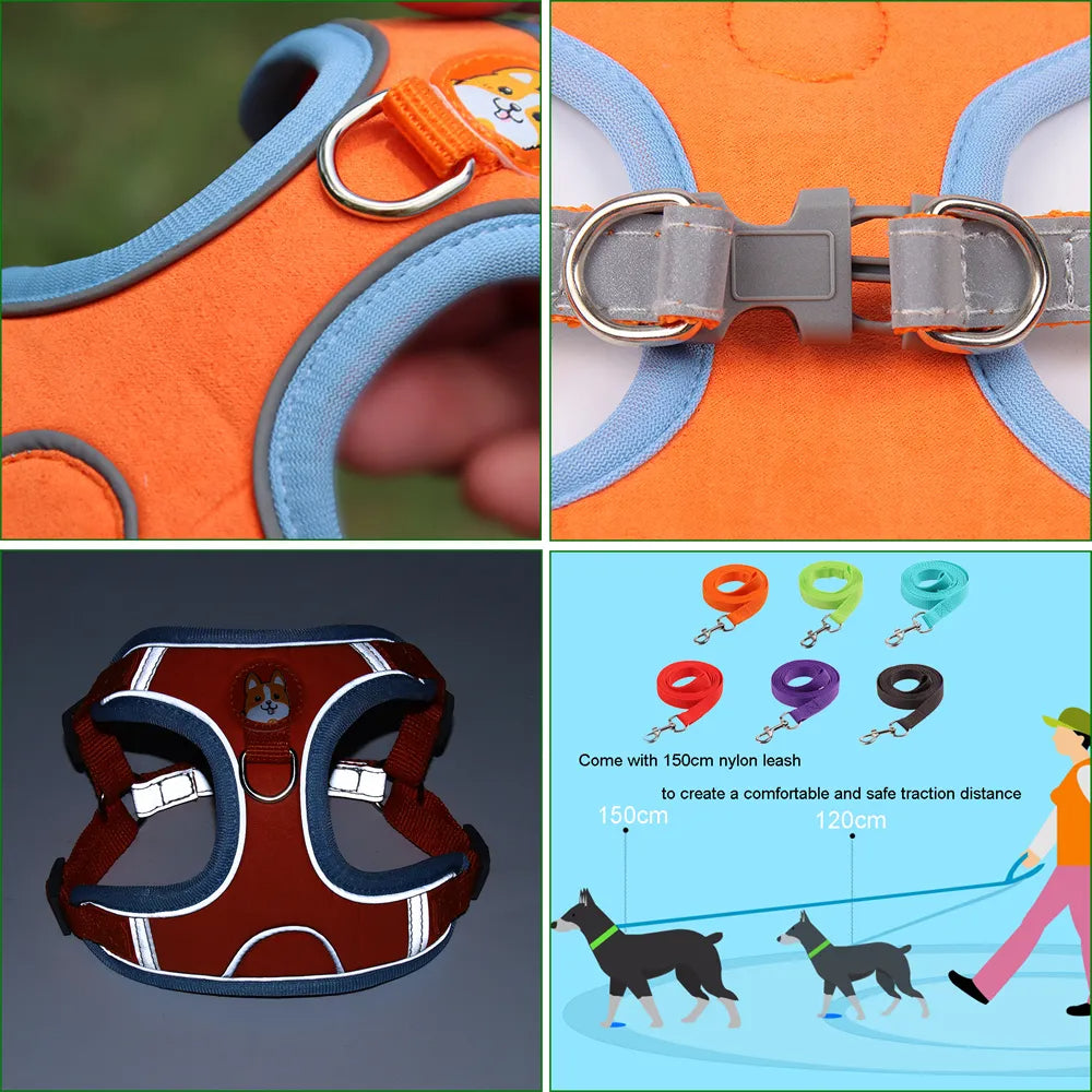 FlexiPaws No-Pull Harness & Leash Set