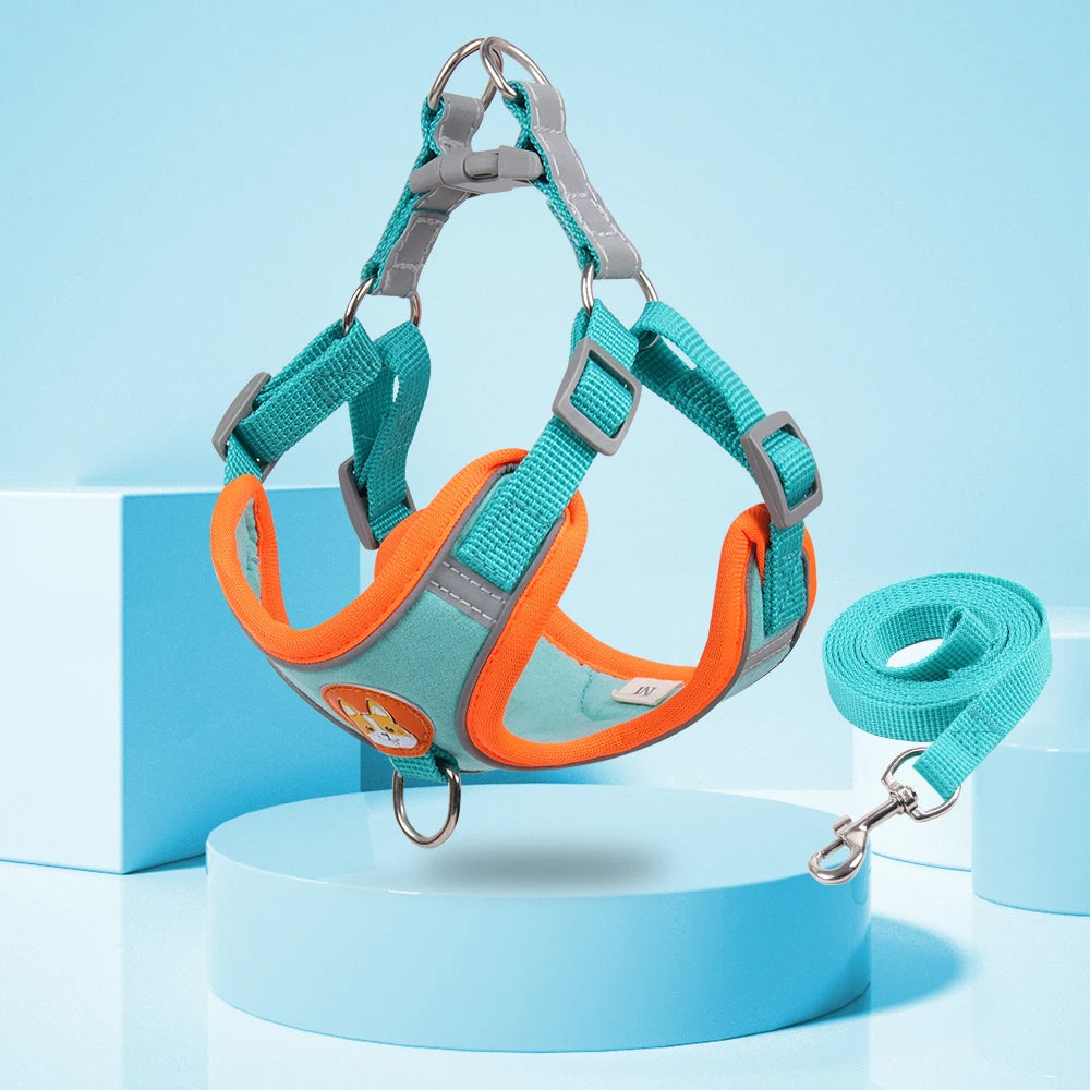 FlexiPaws No-Pull Harness & Leash Set