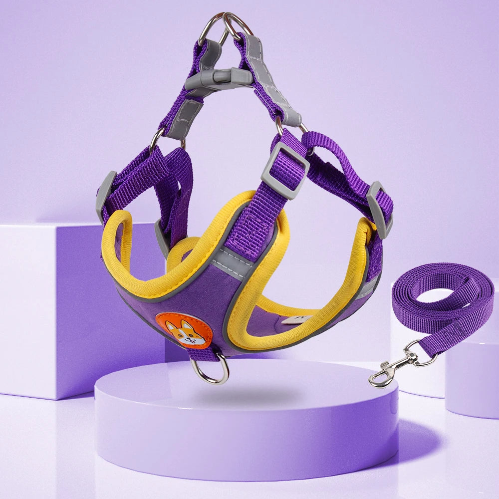 FlexiPaws No-Pull Harness & Leash Set