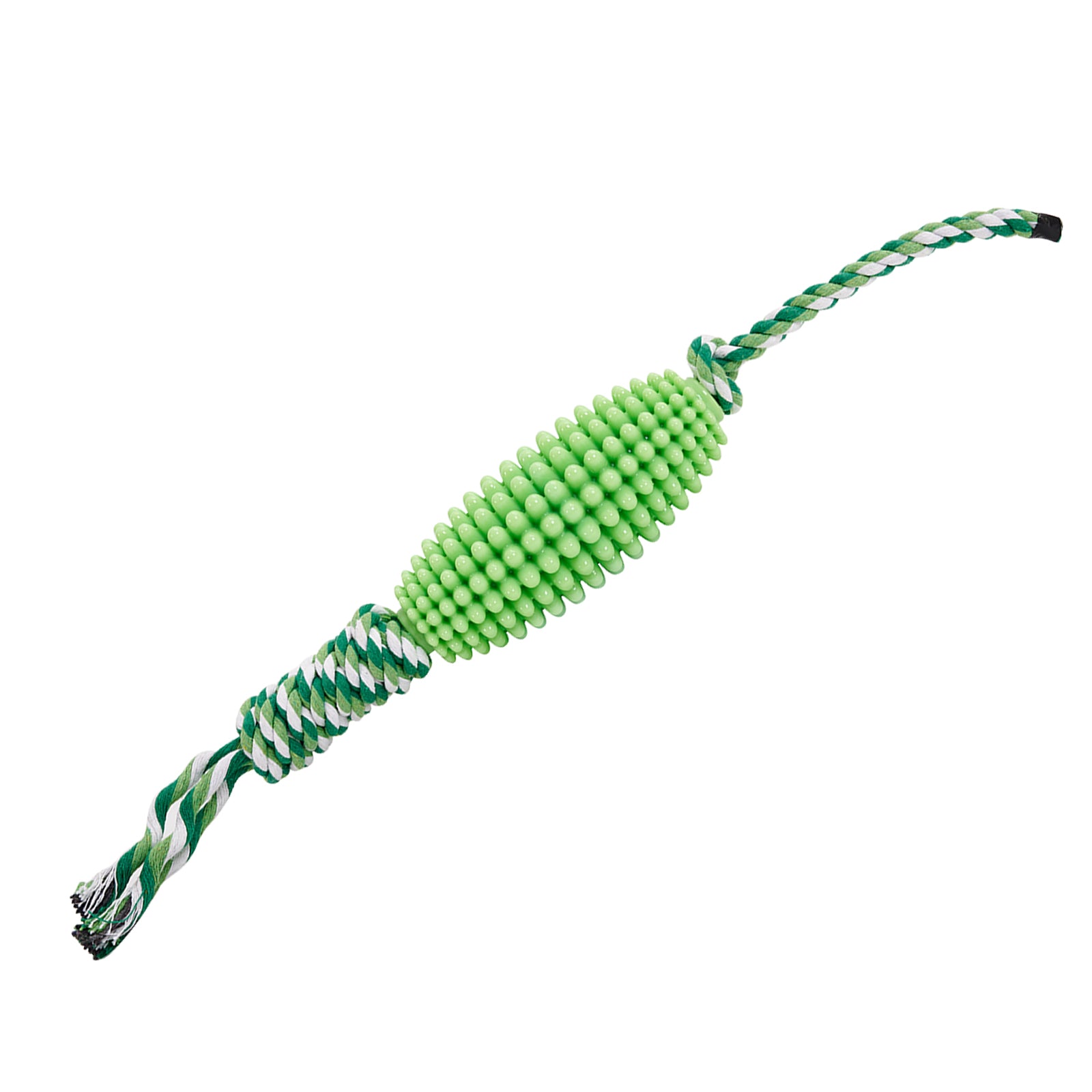 ChewGuard Dental Toy