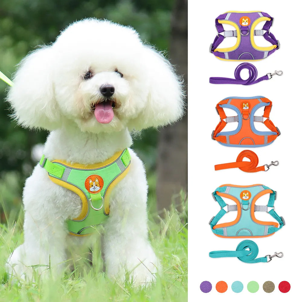 FlexiPaws No-Pull Harness & Leash Set