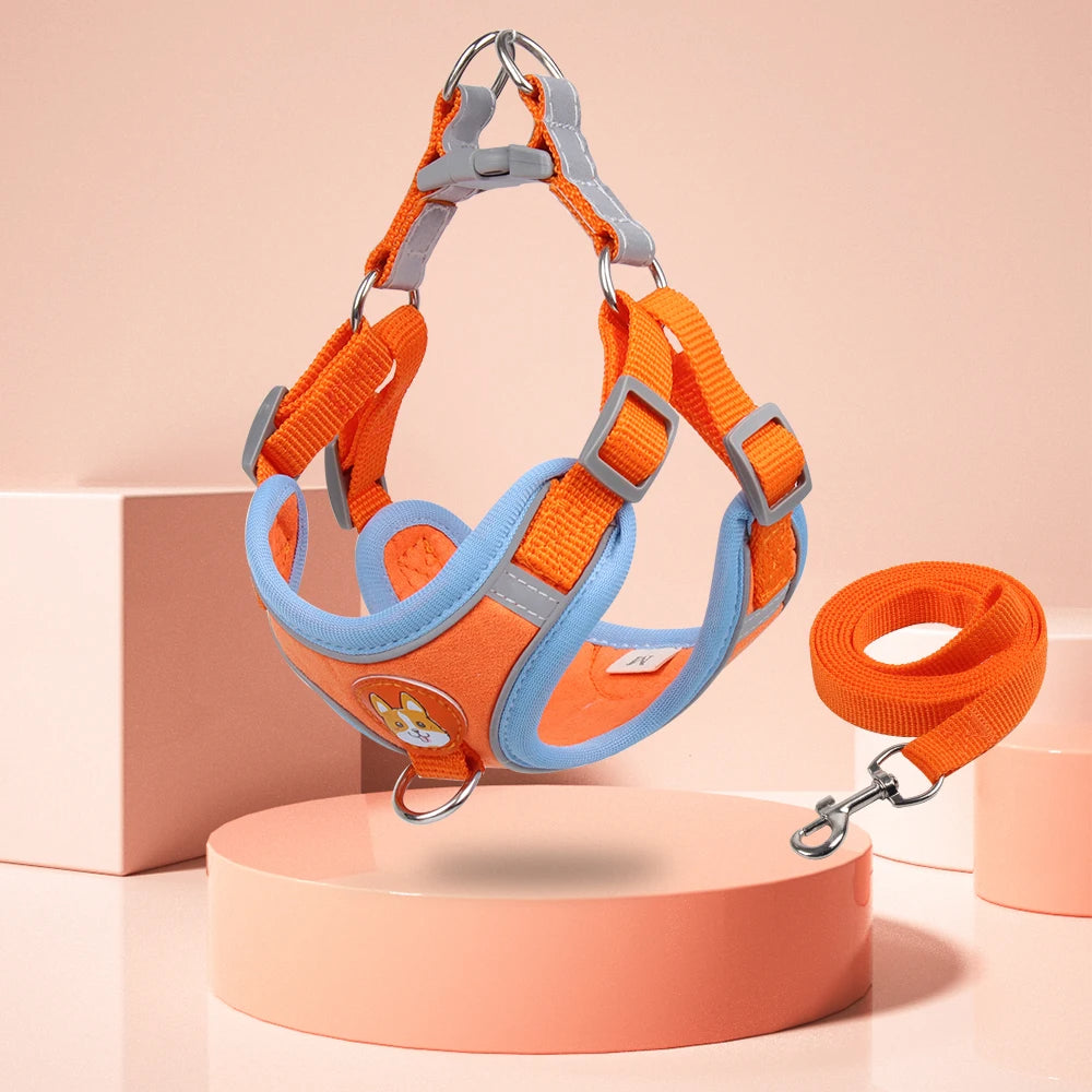 FlexiPaws No-Pull Harness & Leash Set