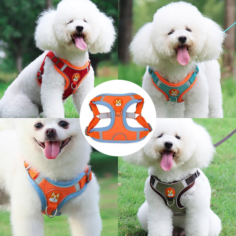 FlexiPaws No-Pull Harness & Leash Set