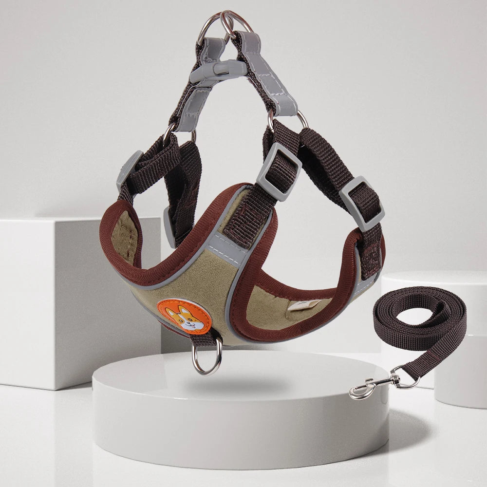 FlexiPaws No-Pull Harness & Leash Set
