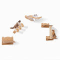 Elevé Cat Wall Suite – 4 Piece Wall Mounted Cat Furniture Set with Hammock, Perch & Climbing Steps for Modern Indoor Living