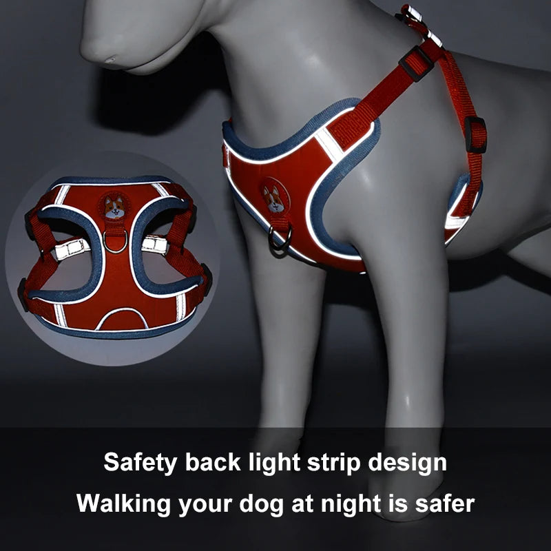 FlexiPaws No-Pull Harness & Leash Set