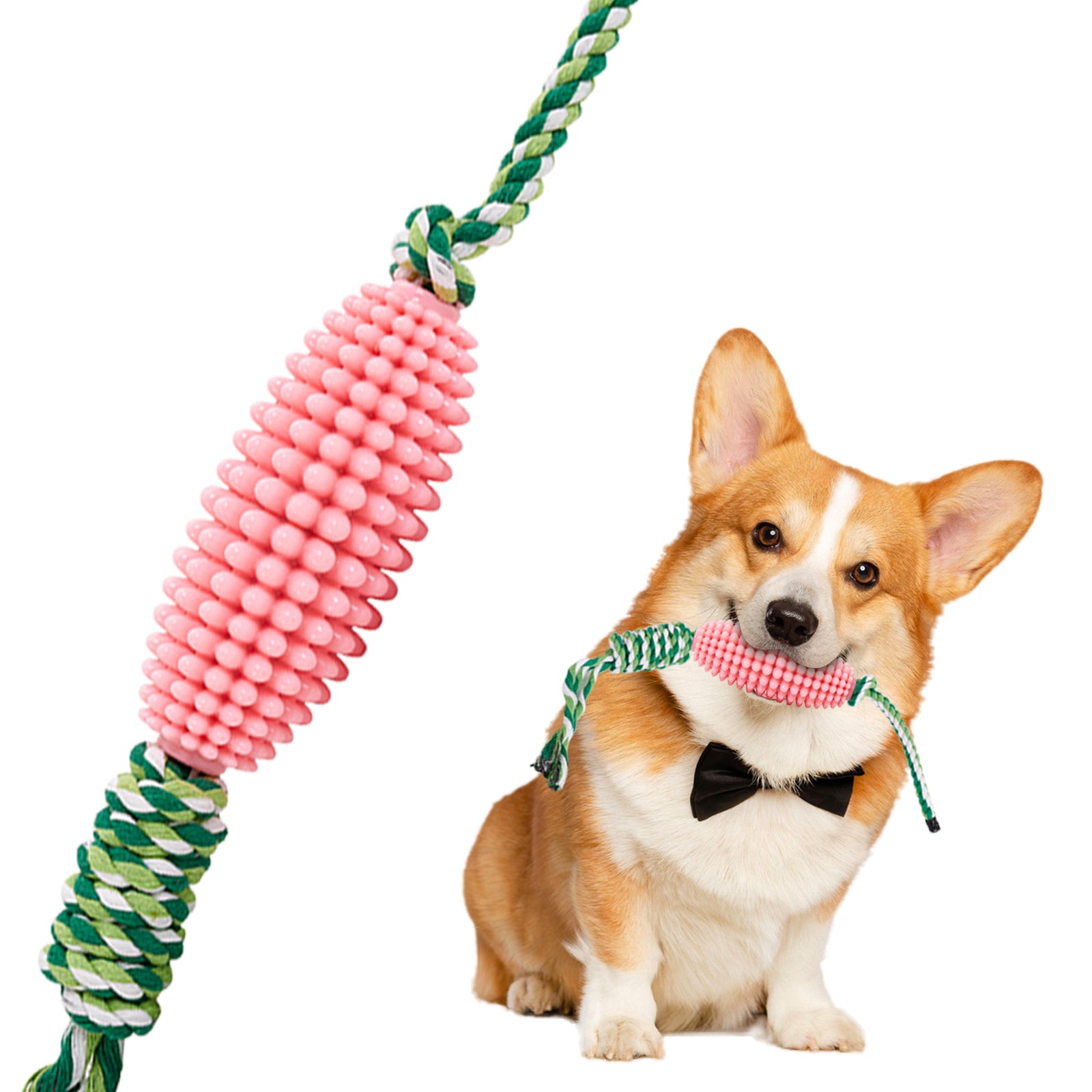 ChewGuard Dental Toy