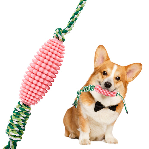 ChewGuard Dental Toy